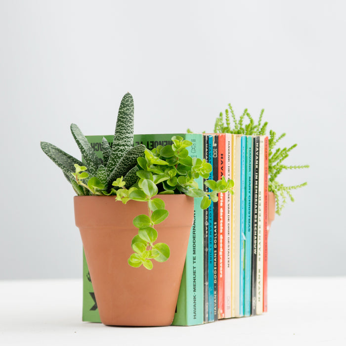 180779-x10.jpg (3416639)