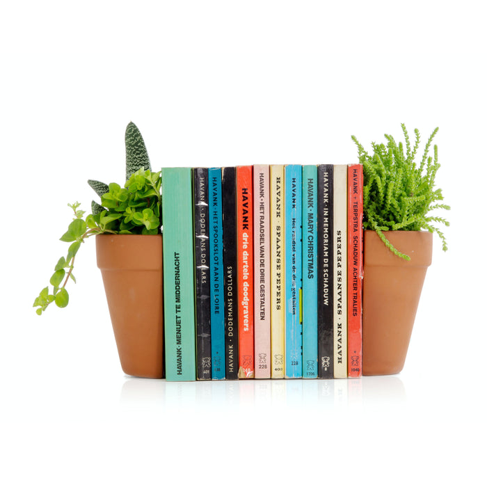 180779-x4.jpg (3416642)