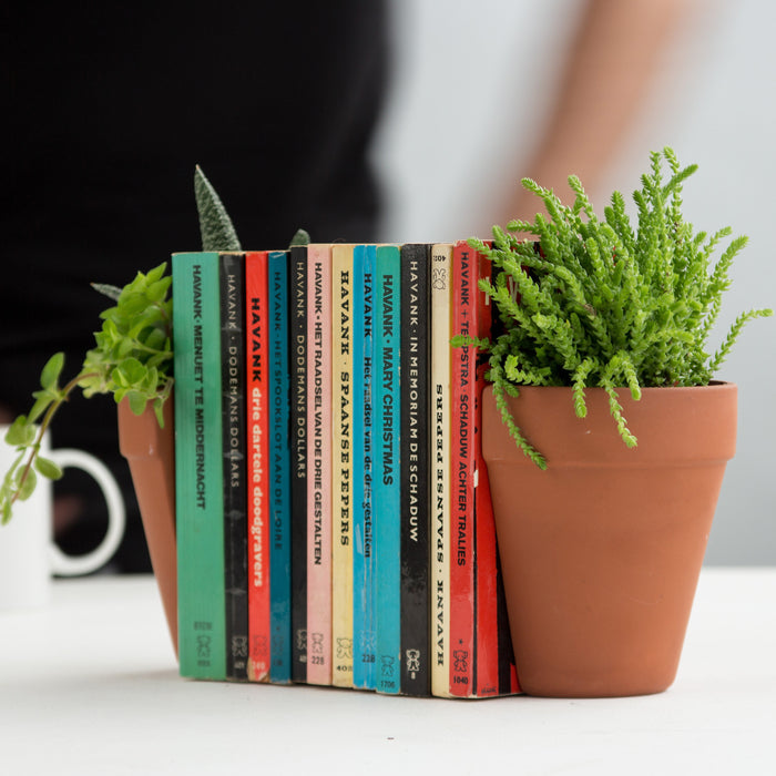 180779-x5.jpg (3416643)