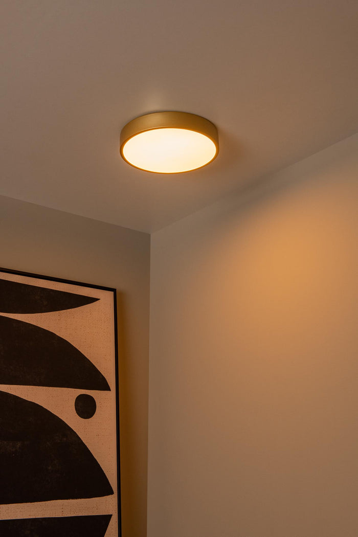 099bac6e-dbac-44fe-820b-d451f806d6fe-afbeelding4.jpg (3418927)