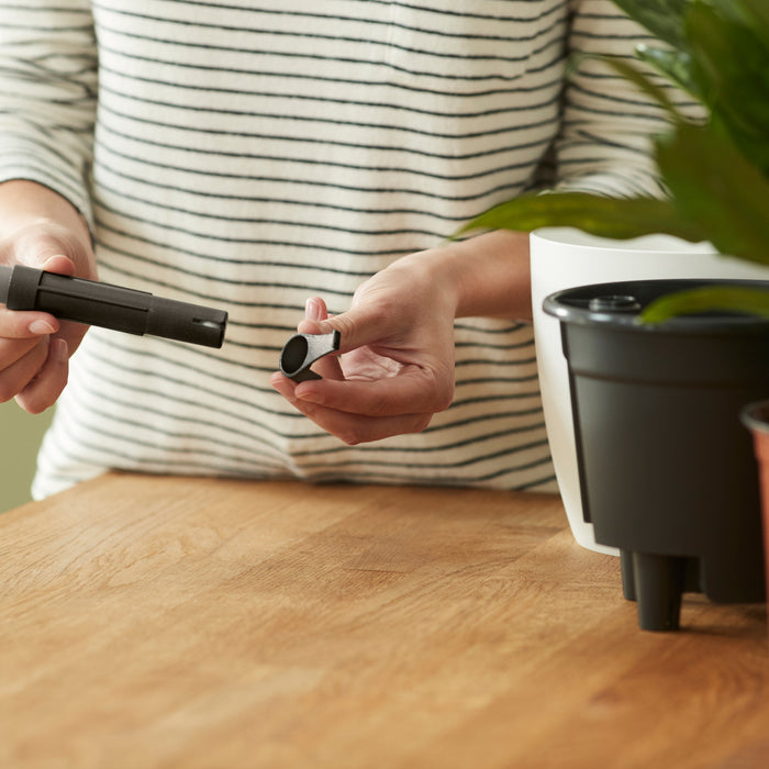 259791-x02.jpg (3449993)