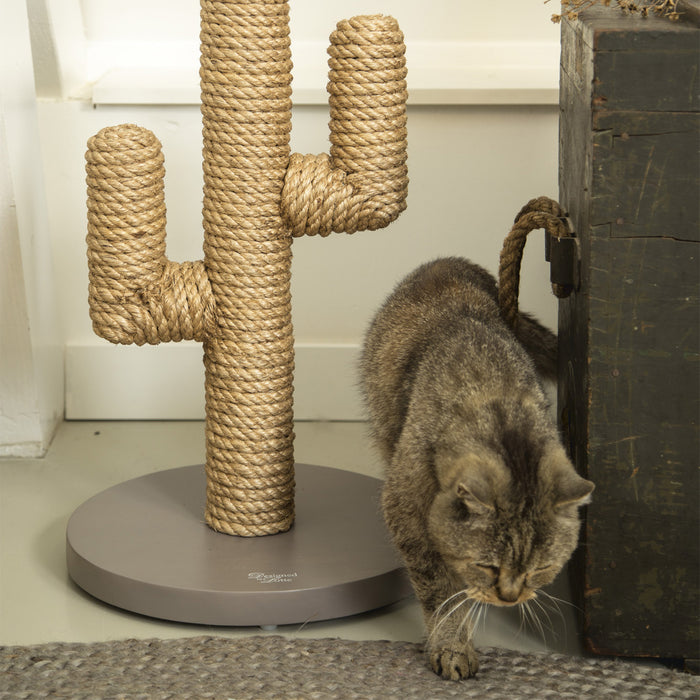 216792-x01.jpg (3452694)