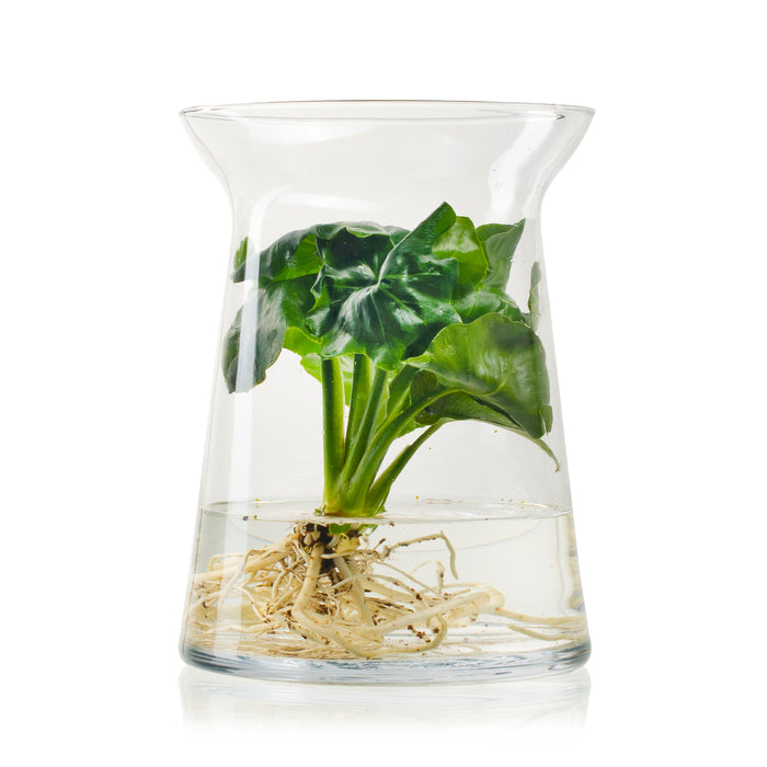 3d9bb2c8-3c1d-4413-81a7-4a023c05cd07-sfeerbeeld.jpg (3453709)