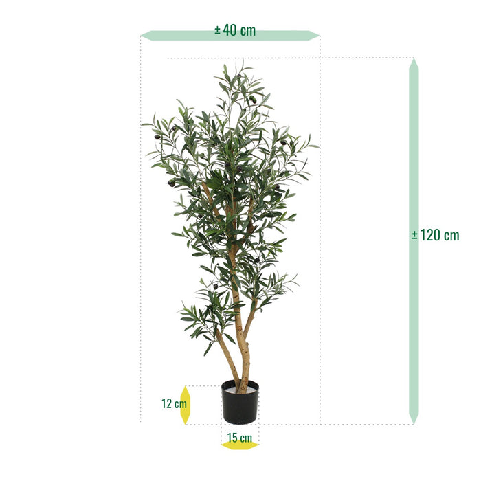 6bc76053-e8f7-4de4-87a9-3983d9c64f72-afbeelding6.jpg (3462609)