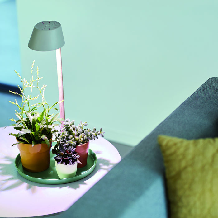 259796-x03.jpg (3463821)