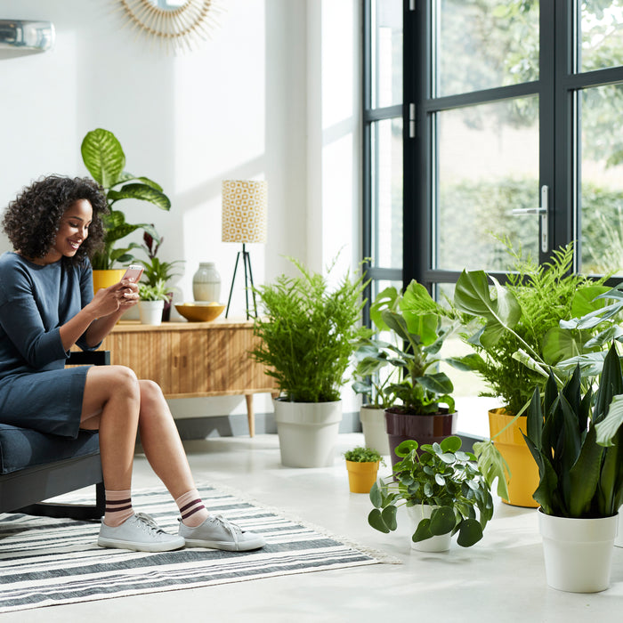 Elho B.For Original Bloempot 25 cm