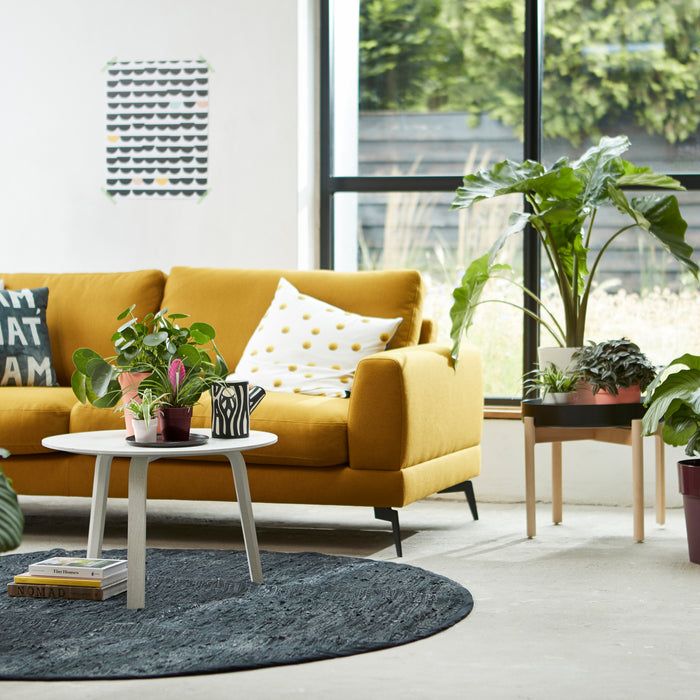 259798-x02.jpg (3469262)