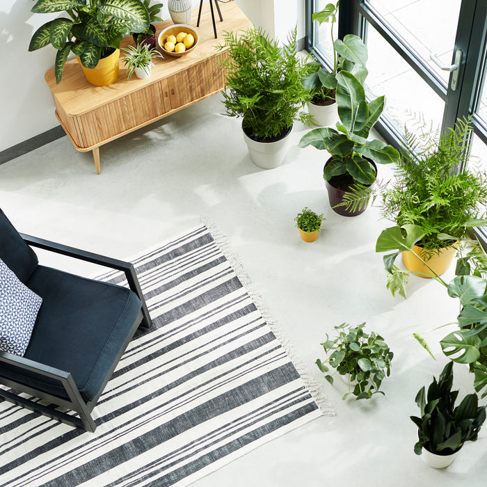 259798-x04.jpg (3469264)