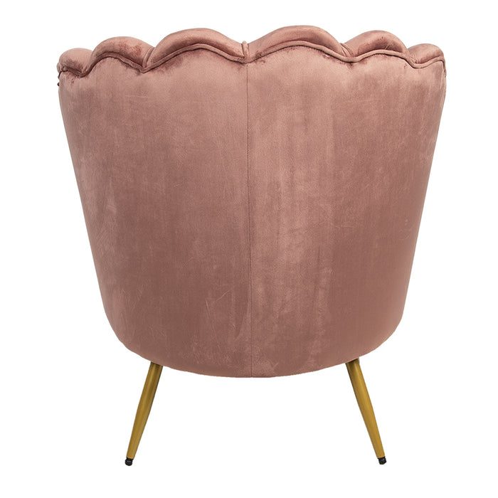 9660dd6b-78c5-4611-85fc-49787e0c1a86-afbeelding12.jpg (3471587)