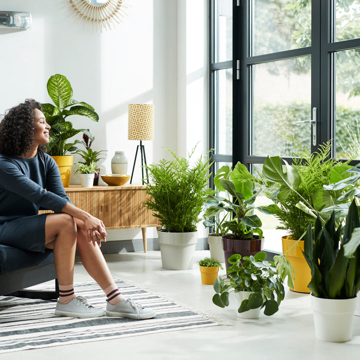 259799-x01.jpg (3472093)