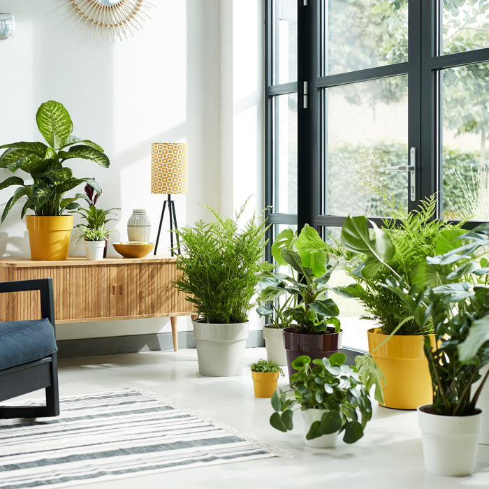 259804-x03.jpg (3486179)