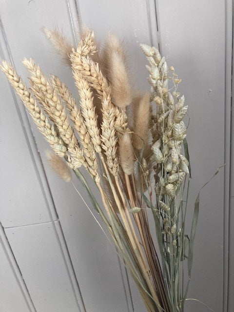 8adae57b-1b05-426e-995e-78945eb7111a-afbeelding3.jpg (3486869)