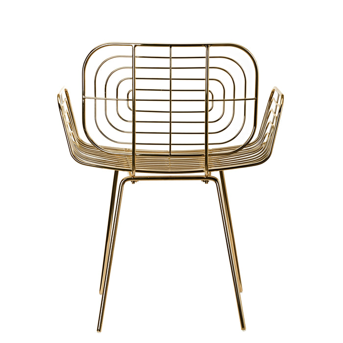 233805-x2.jpg (3488870)