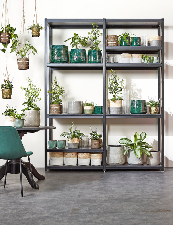 59c67438-0543-4388-8eae-3e606faec0bb-afbeelding7.jpg (3490569)