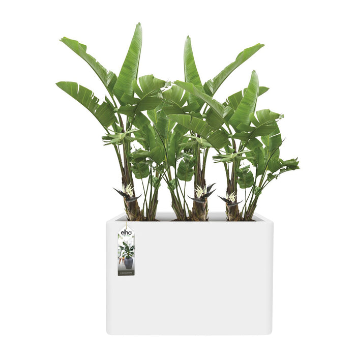 Elho Pure Soft Brick Divider Large Plantenbak 80 cm