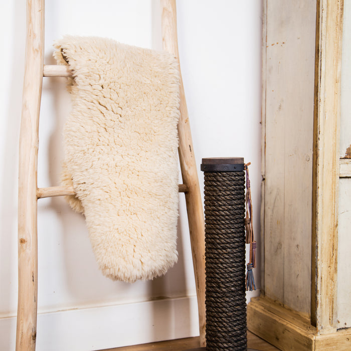 203808-x1.jpg (3496933)