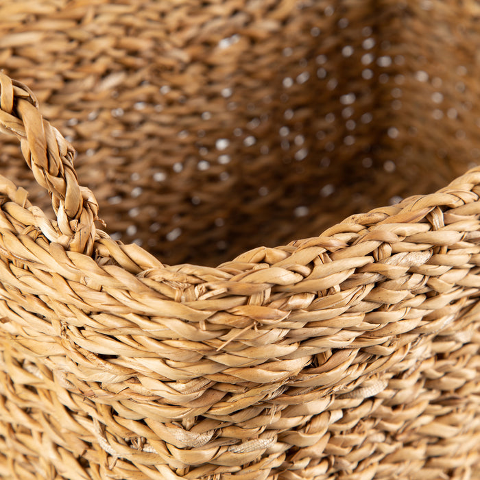 304810-x04.jpg (3505054)