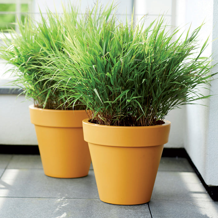 Copy CS SUPPORT of Elho Pure Round Bloempot 60 cm Geel