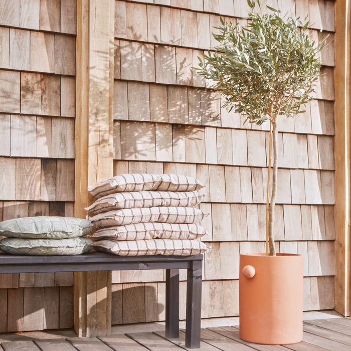 312817-x02.jpg (3523809)