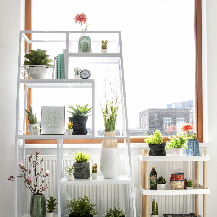 208818-x1.jpg (3523960)