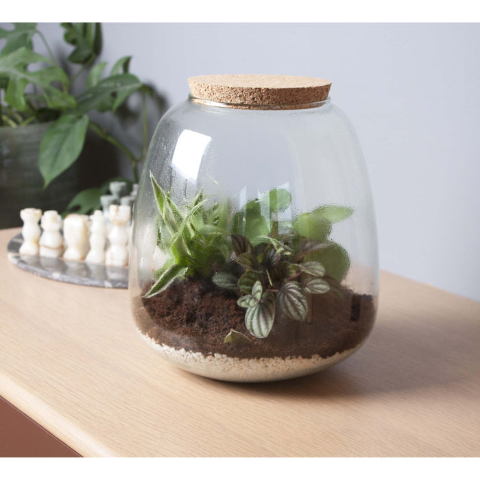 Eden Collection | Mini ecosysteem ‘Discover the World’