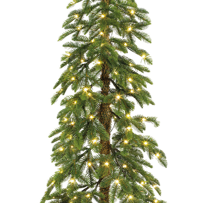 Alpine fir Micro LED indoor