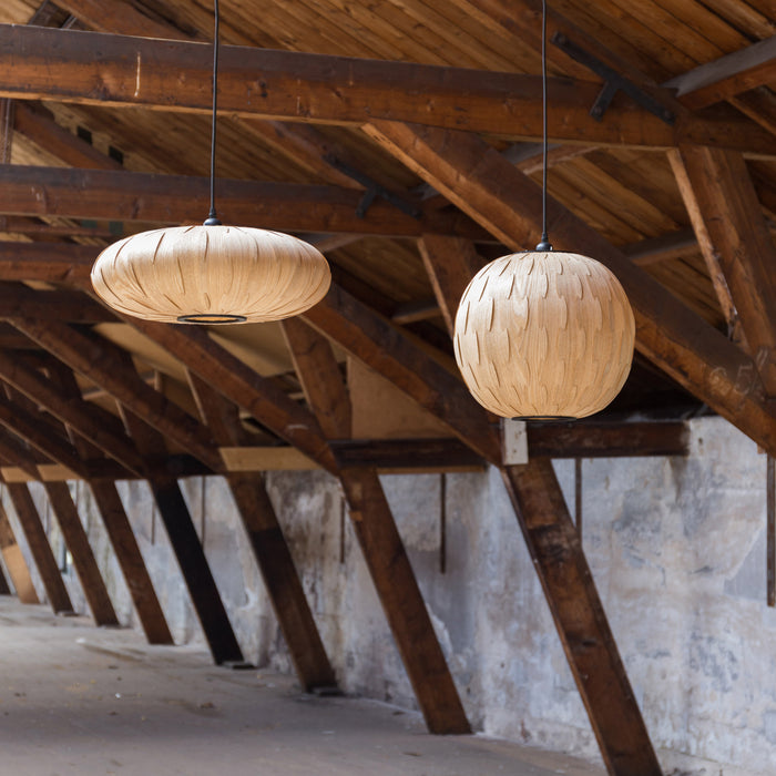 123823-x8.jpg (3537488)