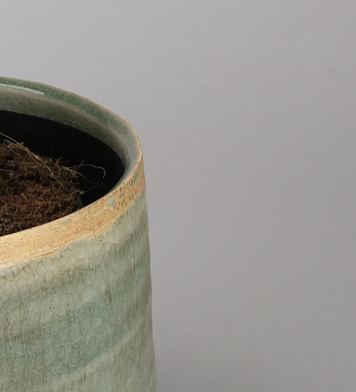 ff76acd4-122c-4a75-8419-1e4e07290896-afbeelding10.jpg (3542417)