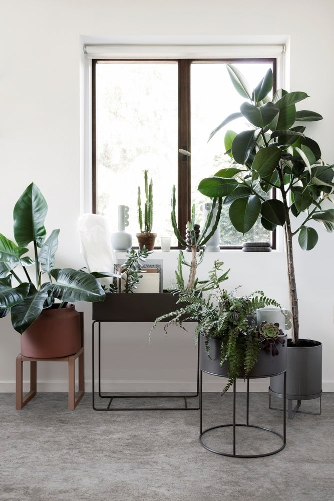 Ferm Living Plant Box Plantentafel Zwart
