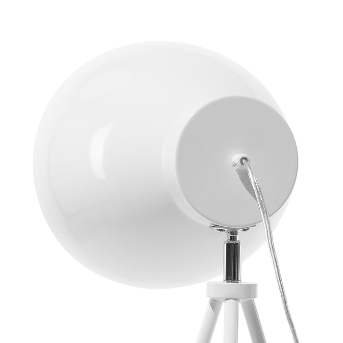 9e6d19dd-c7d4-4cb3-ab87-28ba7d5b4dcc-afbeelding7.jpg (3548482)