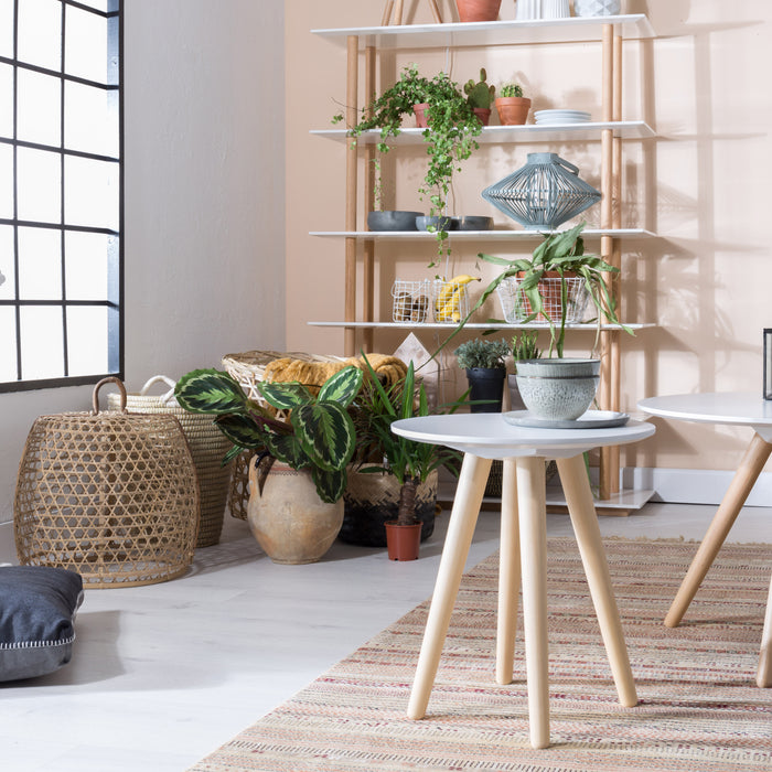 120845-x9.jpg (3599616)