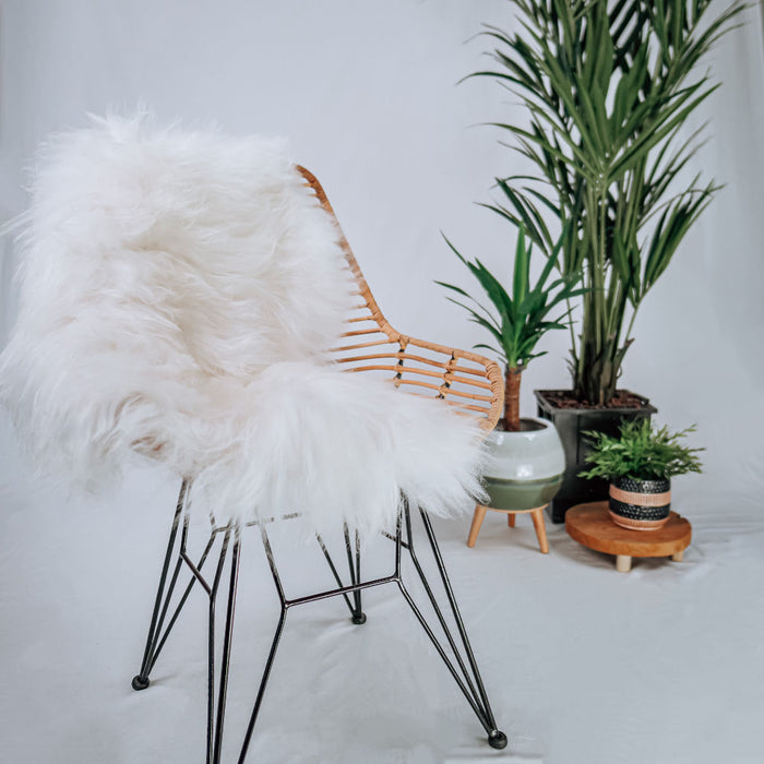 70426d0c-0103-435a-a7fc-6e49831ce046-sfeerbeeld.jpg (3600847)