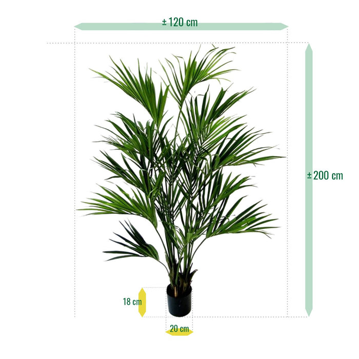 f12a835b-9728-4161-b504-8f0f930af183-afbeelding6.jpg (3609483)