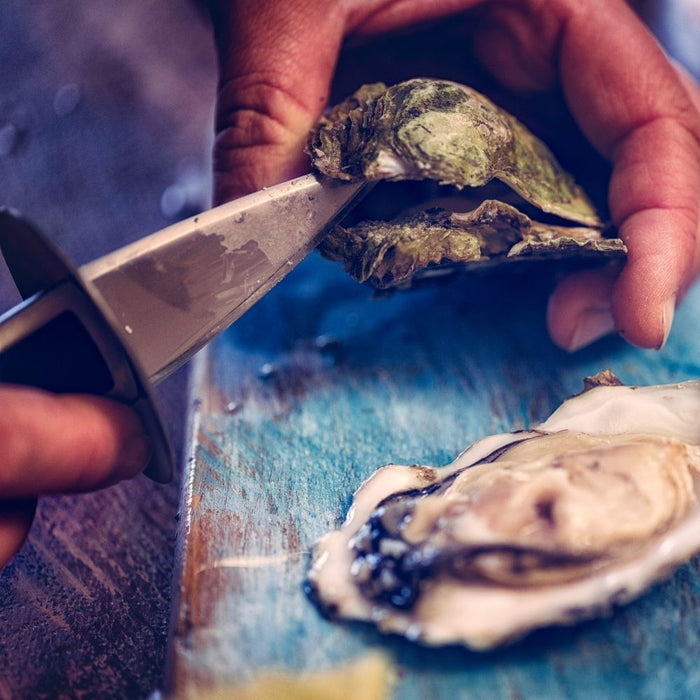 OTIX Oestermes Oesterbreekmes met Siliconen handvat 15x11x0.5 cm RV...