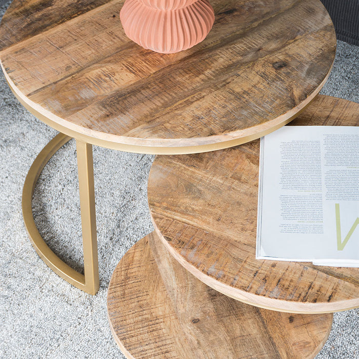 Home67 - Salontafel Set van 3 - Industriële Salontafelset Erjan - Goud