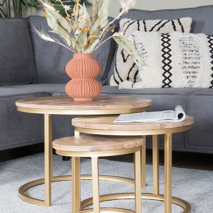 Home67 - Salontafel Set van 3 - Industriële Salontafelset Erjan - Goud