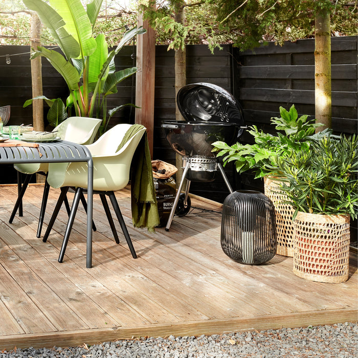 299855-x01.jpg (3623851)