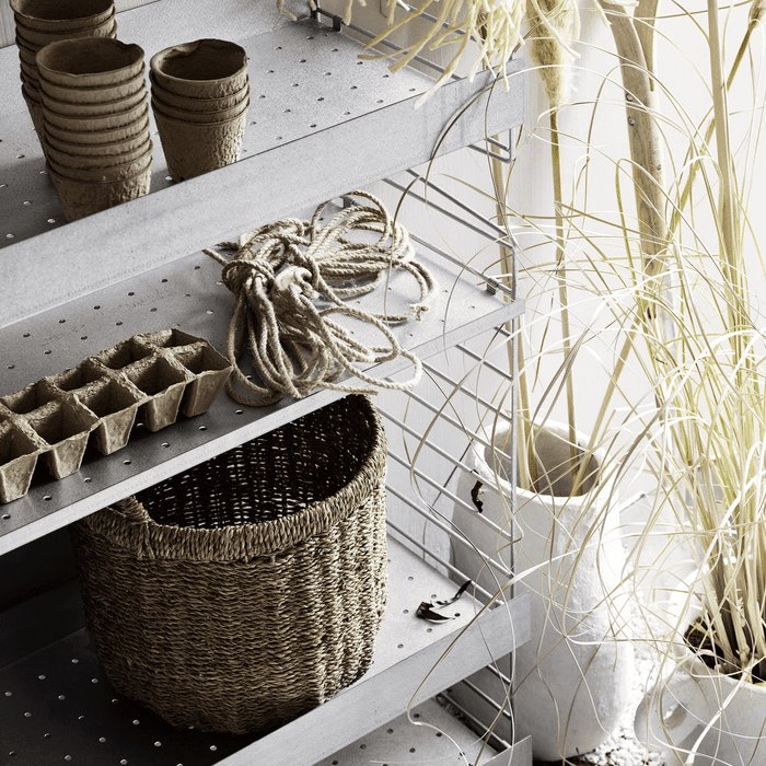 289858-x1.png (3631918)