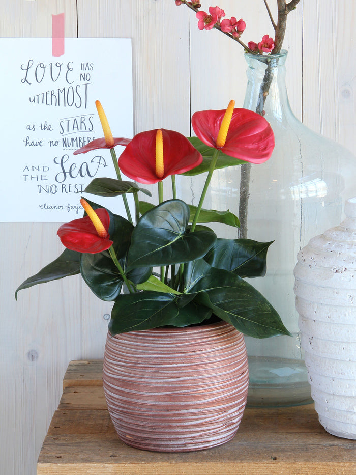 Mica Decorations Anthurium Kunstplant - H40 x Ø30 cm - Rood