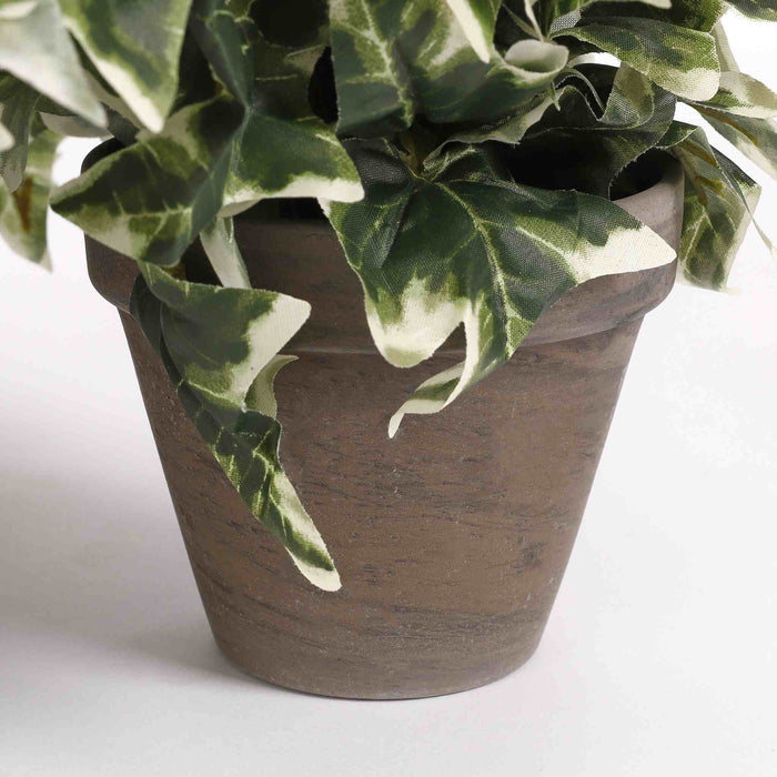 Mica Decorations Hedera Kunstplant - H45 x Ø25 cm - Groen Bont