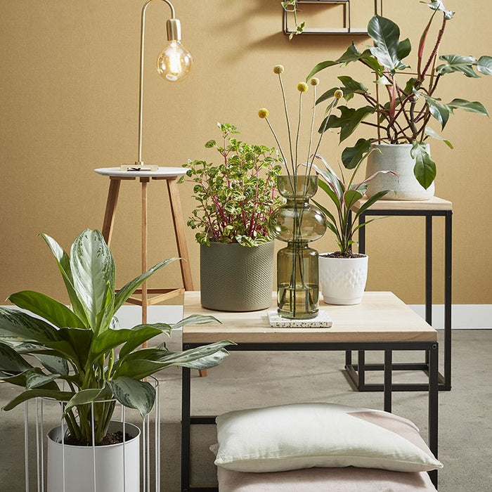 245870-x1.jpg (3663892)