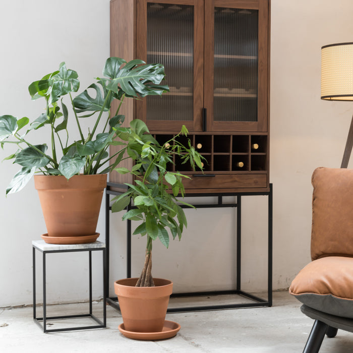 239871-x14.jpg (3666668)