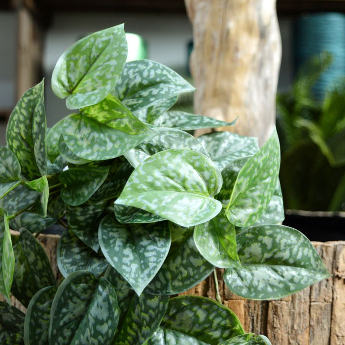 8d693bf2-f199-4b4a-a75a-06e78098a177-afbeelding3.jpg (3674054)