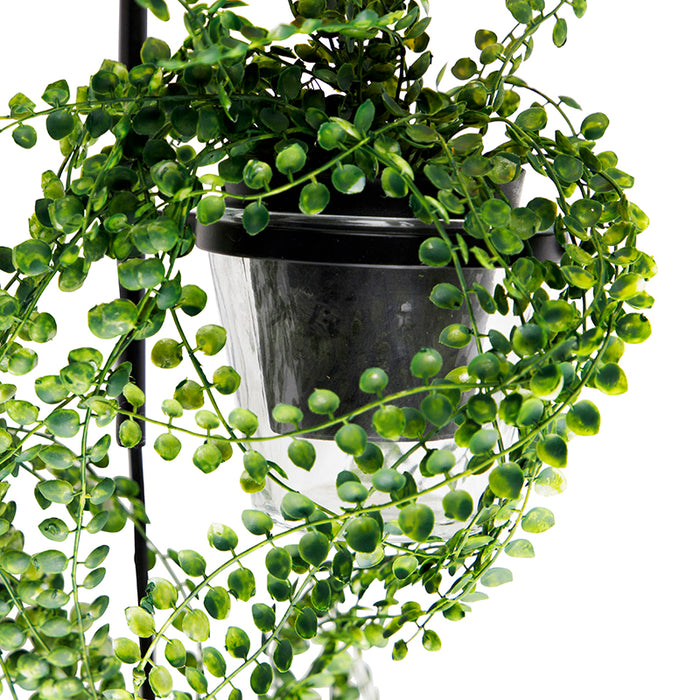 QAZQA Wandlamp roslina - Zwart - Modern - L 12cm