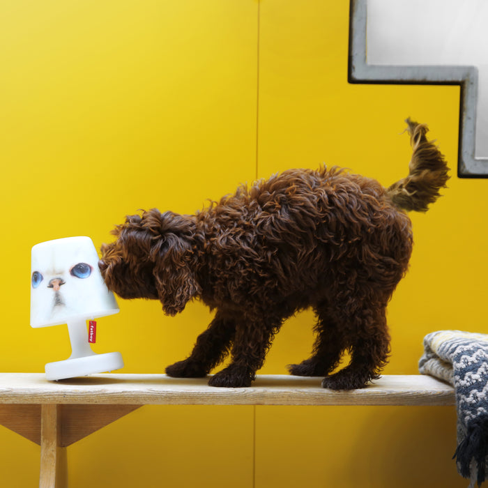 Fatboy® Edison the Petit Tafellamp