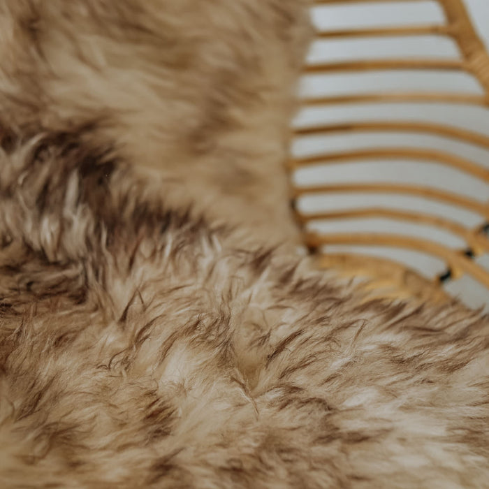 d9c9c597-ff2c-4172-a9f3-919b9d1e664d-afbeelding3.jpg (3700850)