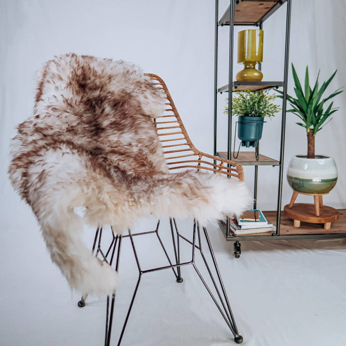 d9c9c597-ff2c-4172-a9f3-919b9d1e664d-sfeerbeeld.jpg (3700852)