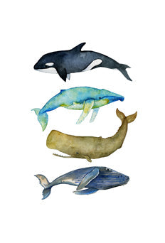 Wallified - Walvissen Poster - Wallified - Natuur - Landschap - Zee -