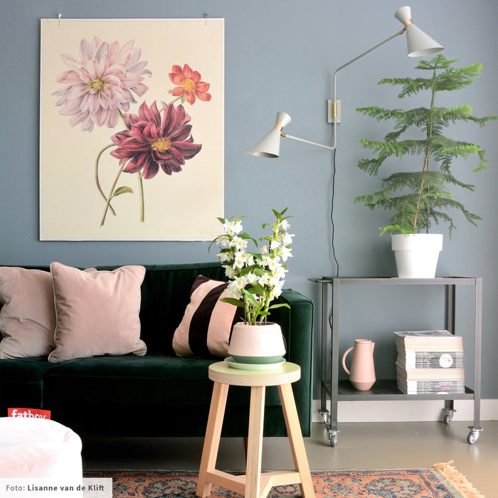 Zuiver Shady Wandlamp