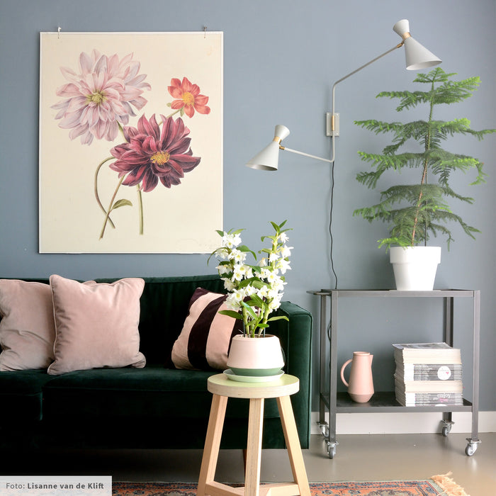 Zuiver Shady Wandlamp